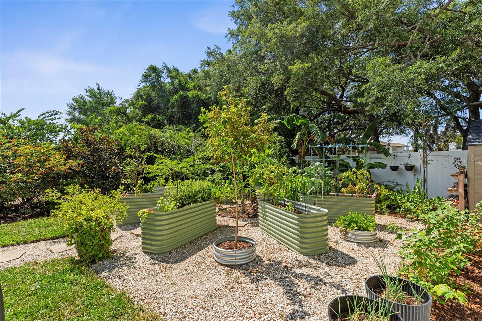 TAMPA & TARPON SPGS LAND CO - Residential