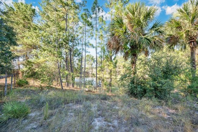 SEMINOLE ESTATES - Residential