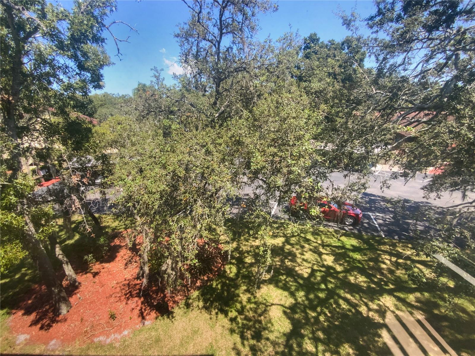 FOREST LAKE CONDO - Residential