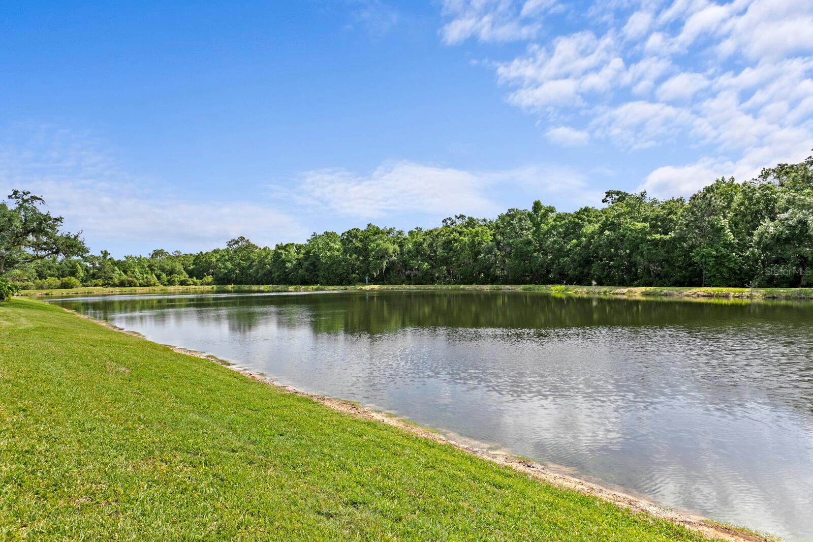 RICHMOND PLACE PH 1 - Residential