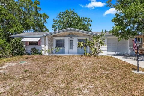 4017 MOOG ROAD HOLIDAY FL 34691