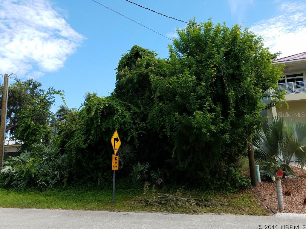 Bethune Volusia Beach - Land