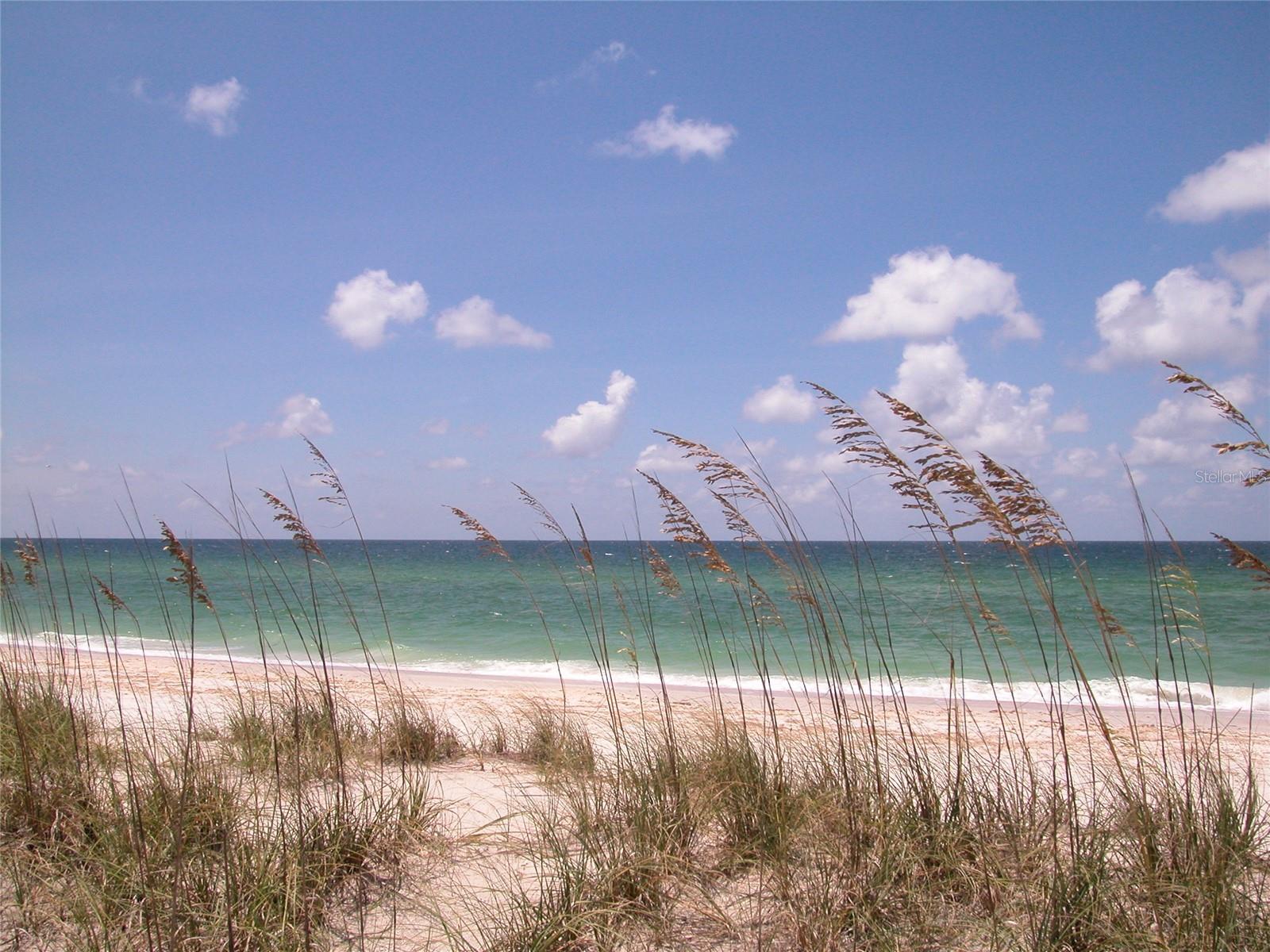 GULF GATE - Residential