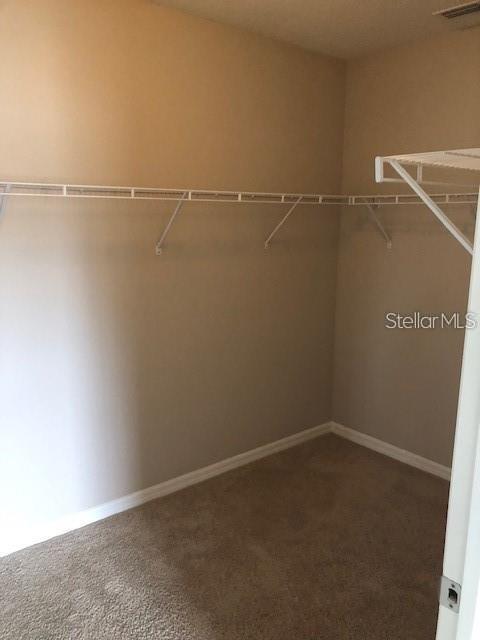 9918 WARM STONE STREET