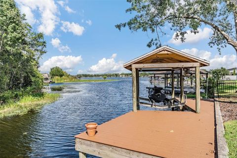 22519 SOUTHSHORE DRIVE LAND O LAKES FL 34639