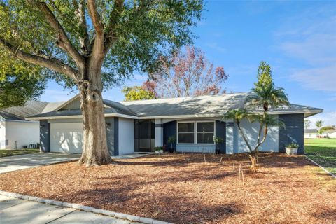Photo of 5111 Dorrington Lane, Orlando, FL 32821 (MLS # O6378291)
