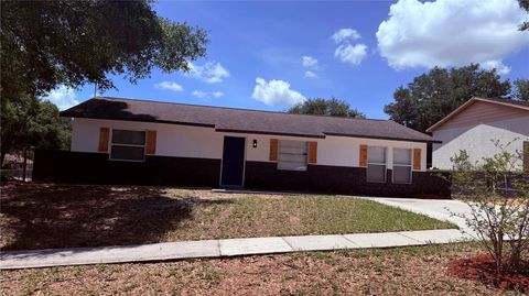 Photo of 436 Lake Opal Court, Apopka, FL 32703 (MLS # O6410688)