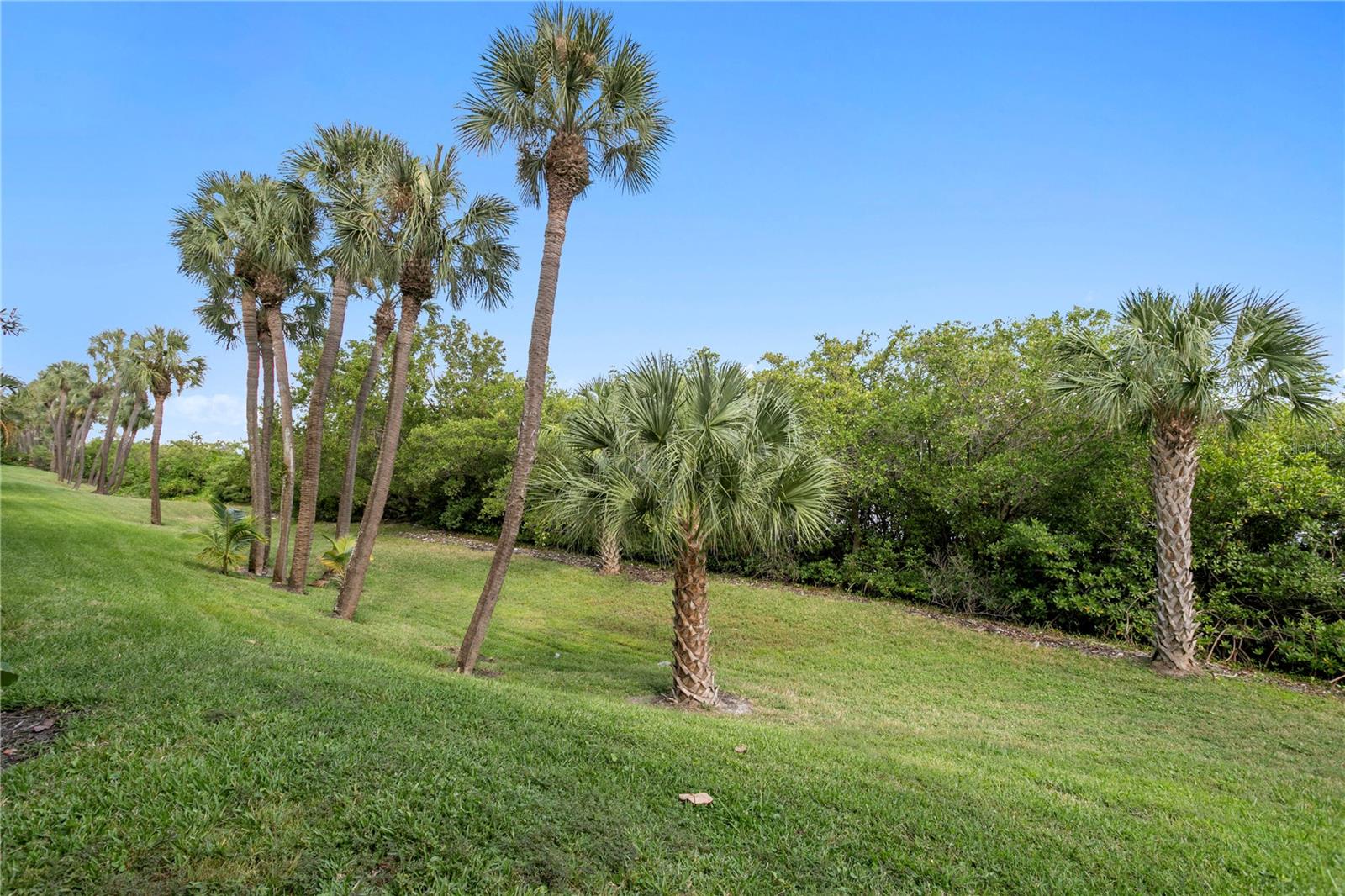 HARBOURSIDE AT HARBOUR ISLAND - Residential