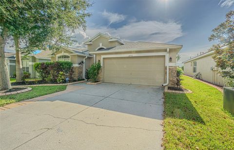 Photo of 6843 Runner Oak Drive, Wesley Chapel, FL 33545 (MLS # TB8415363)