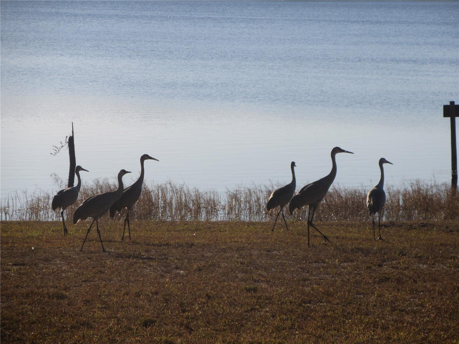 SILVER LAKES ACRES - Residential