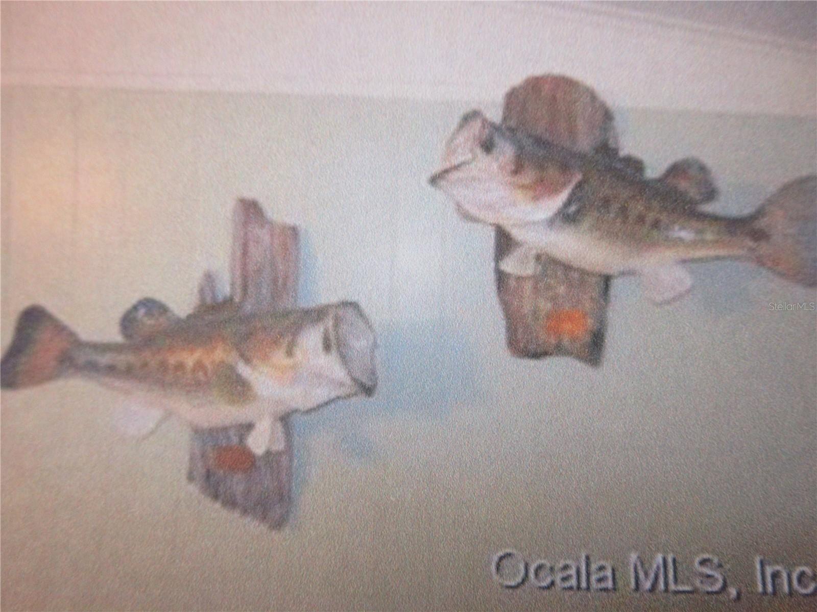 SILVER LAKES ACRES - Residential