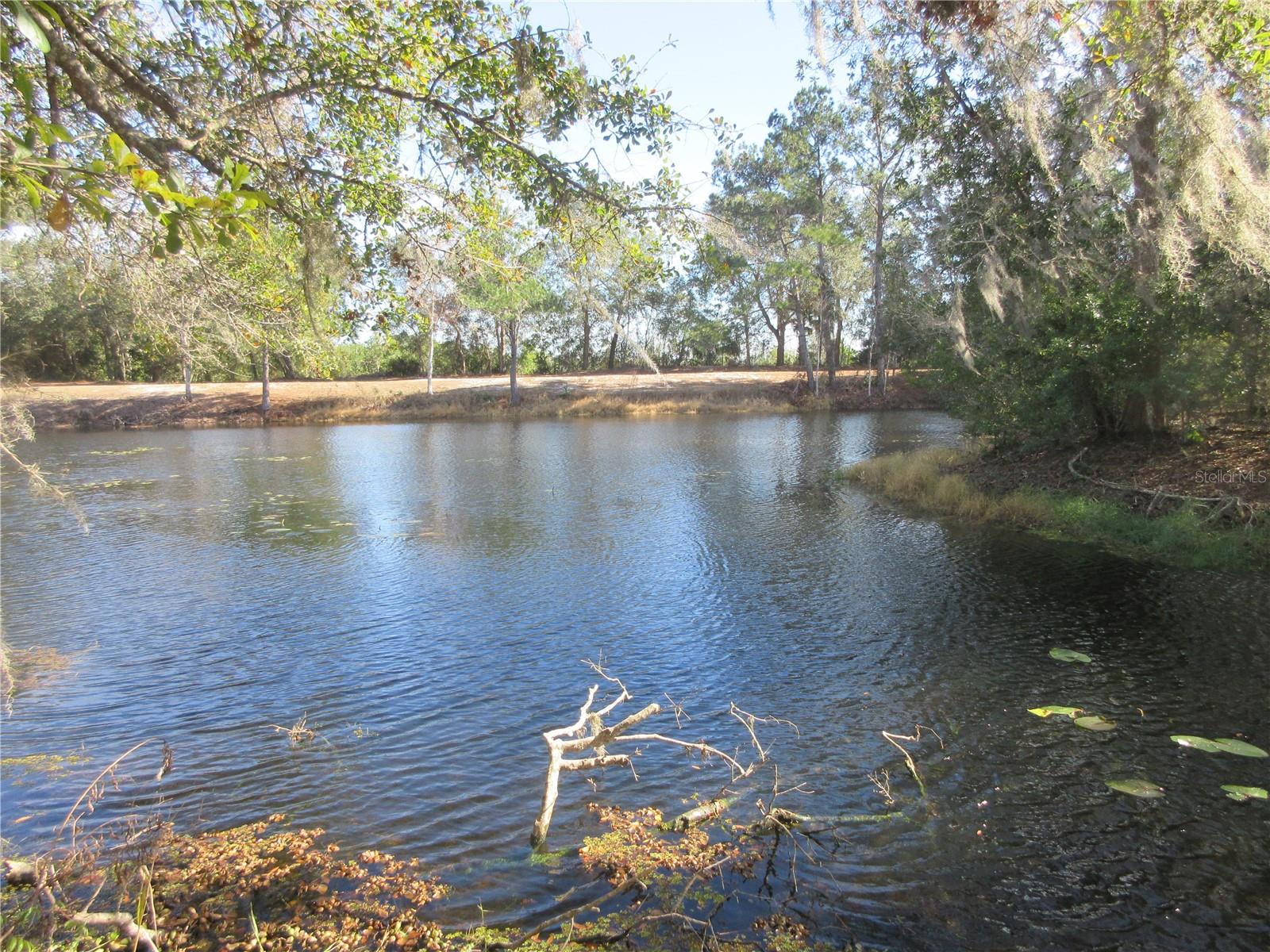 SILVER LAKES ACRES - Residential