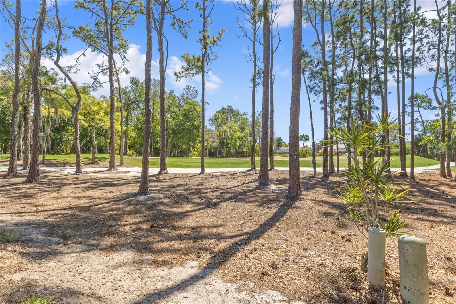 ROSEDALE 2 - Residential