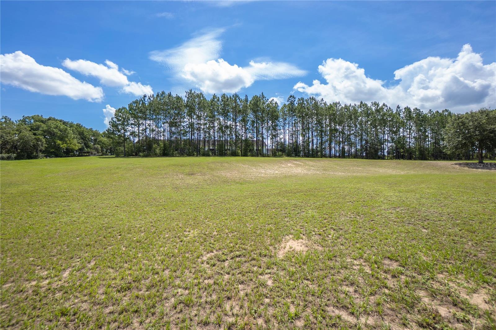 SHENANDOAH - Residential