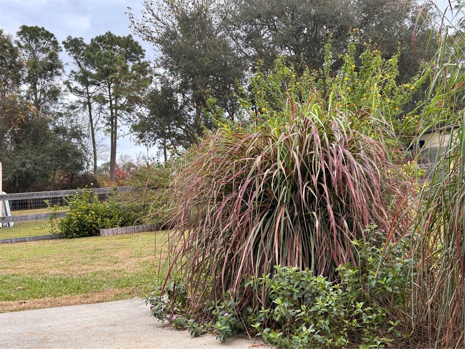 OWEN HEIGHTS - Residential