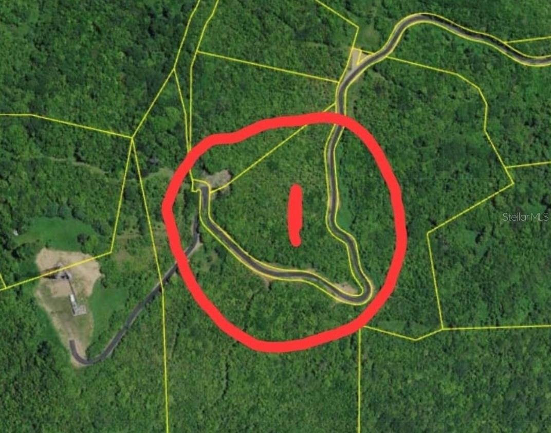 985 KM 1.6 INTERIOR QUEBRADA FAJARDO