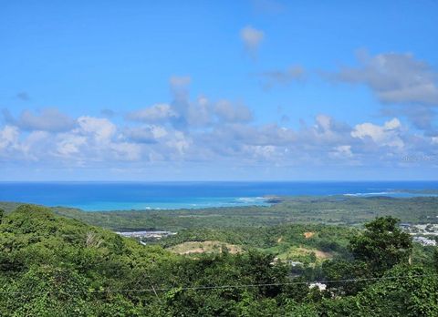 985 KM 1.6 INTERIOR QUEBRADA FAJARDO FAJARDO  00738