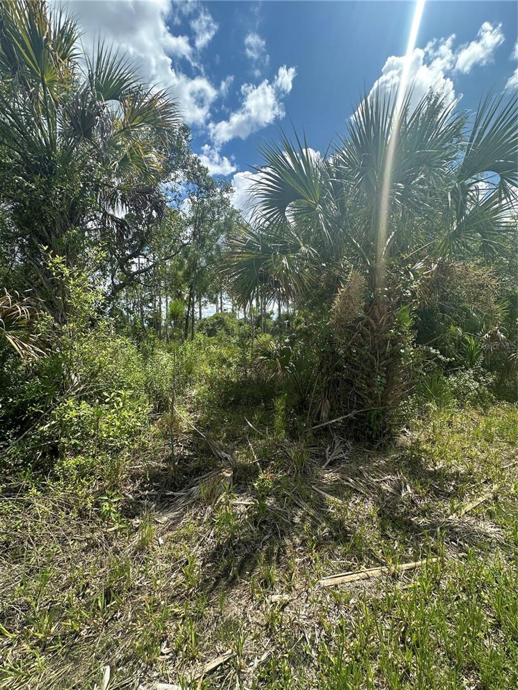 Photo of Rentscher Avenue, North Port, FL 34291 (MLS # N6139425)