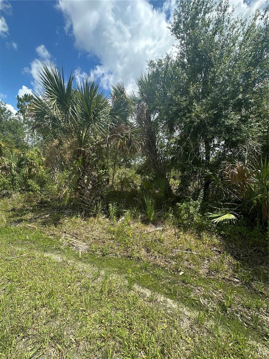 Exceptional Opportunity in North Port – Build Your Dream in a Booming Florida Hotspot!
Seize the chance to own a prime residential lot in the rapidly growing and highly sought-after city of North Port, Florida—one of Southwest Florida’s most exciting and dynamic communities. This peacefully located parcel offers no HOA fees, no deed restrictions, and no CDDs, giving you the freedom to design and build exactly what you envision. Plus, as of May 2025, this lot is not listed on the North Port Scrub Jay map (buyer to verify during due diligence).
Just minutes from I-75, this ideal location ensures easy commuting while keeping you close to everything—shopping, dining, top-rated schools, parks, golf courses, and world-class fishing. With new construction all around, it’s clear that North Port is on the rise, making this the perfect time to invest in your future.
Love the beach? You’re in luck—stunning Gulf Coast beaches are just a quick 25-minute drive away, where you can unwind with the sand between your toes and breathtaking sunsets at your fingertips. Sports fans will appreciate being near MLB Spring Training stadiums to catch the games.
Whether you're planning to build your forever home or looking for a savvy investment, this property offers unlimited potential in a thriving area. Need help getting started? Local builder referrals are available upon request.
Don’t miss out on this incredible opportunity in one of Southwest Florida’s most exciting and up-and-coming cities!