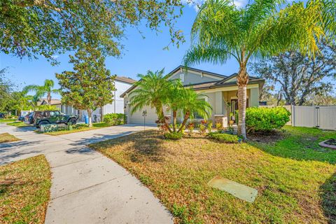 A home in RIVERVIEW