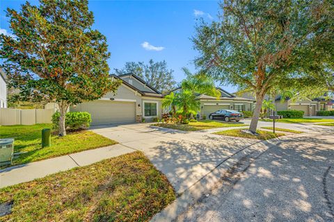 A home in RIVERVIEW