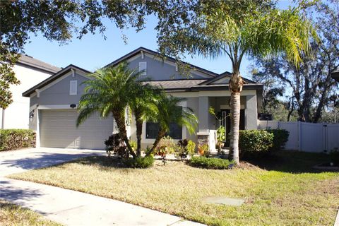 A home in RIVERVIEW