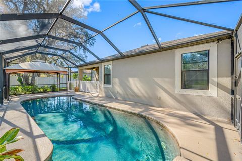 A home in RIVERVIEW