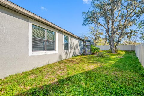 A home in RIVERVIEW