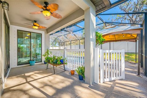 A home in RIVERVIEW