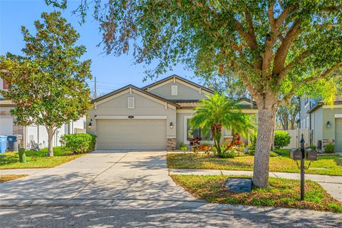 A home in RIVERVIEW