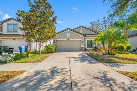 A home in RIVERVIEW