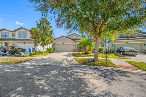 A home in RIVERVIEW