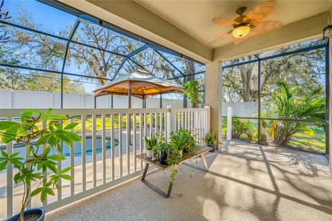 A home in RIVERVIEW