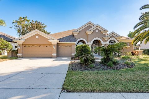 3866 MORENO DRIVE PALM HARBOR FL 34685