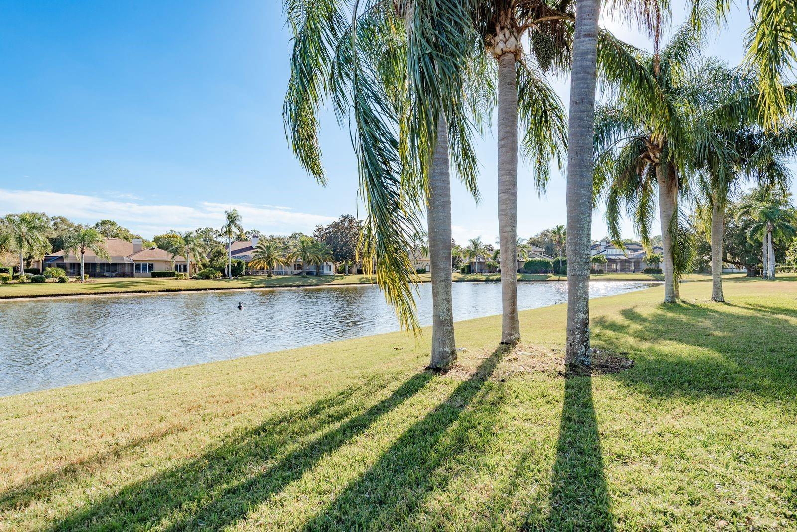 MYRTLE POINT PH 1 - Residential