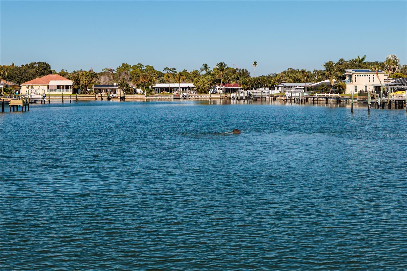 VISTA DEL MAR CONDO - Residential