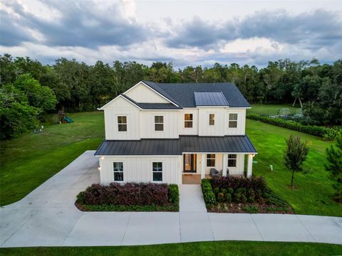 2890 ALEXANDRIA MARIE LANE LUTZ FL 33559