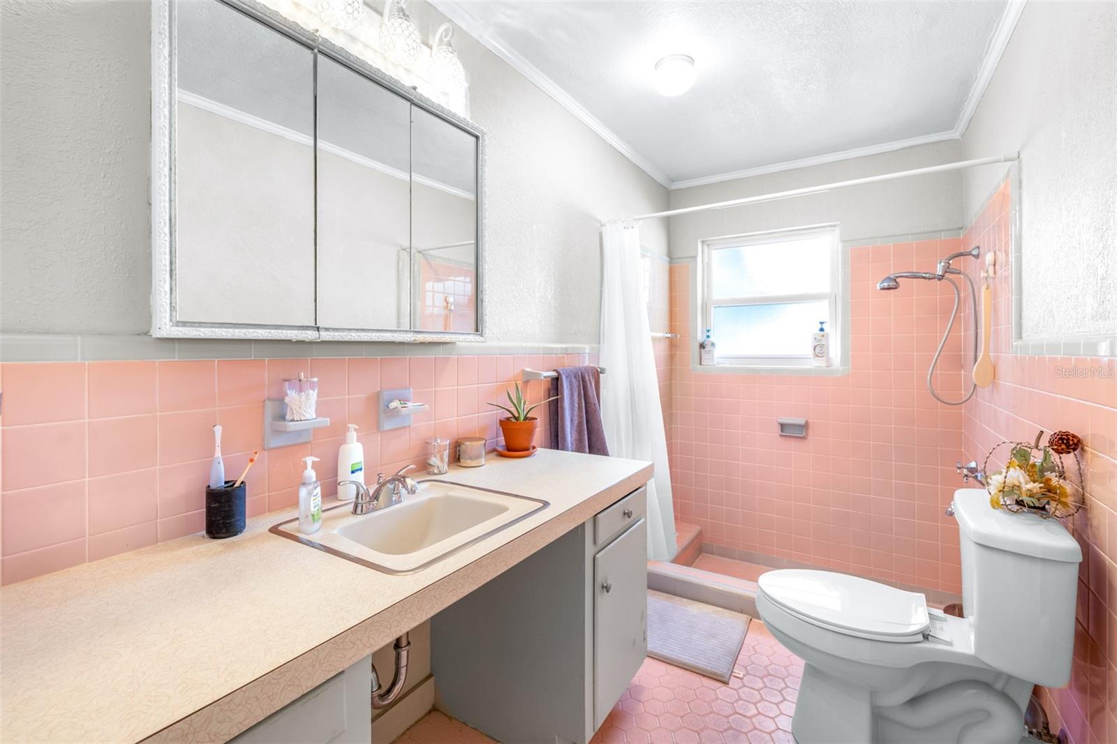 LESNICK PARK - Residential