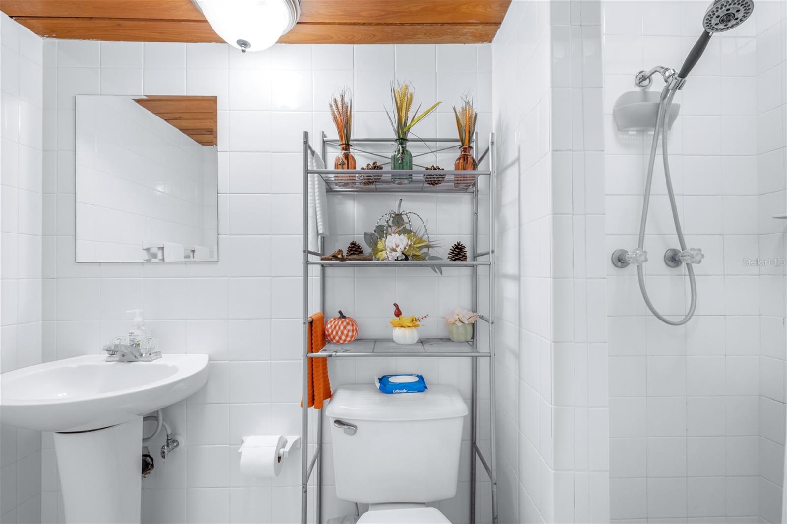 LESNICK PARK - Residential