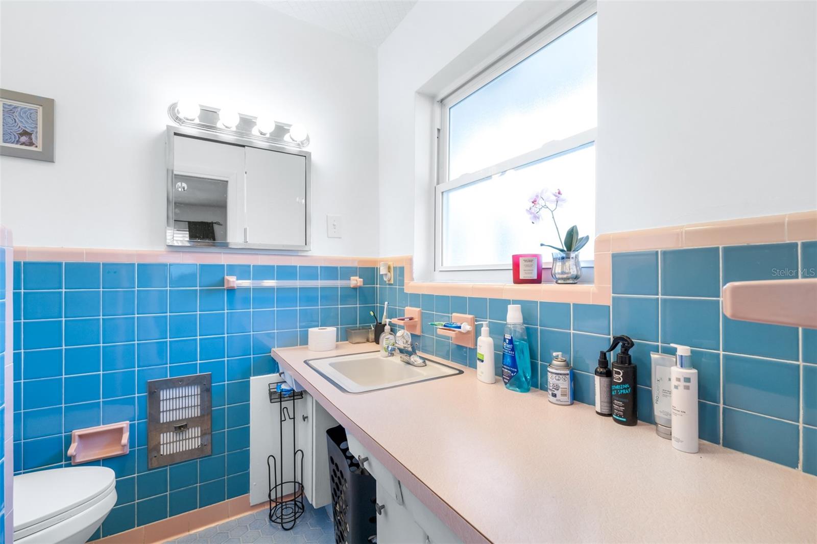 LESNICK PARK - Residential