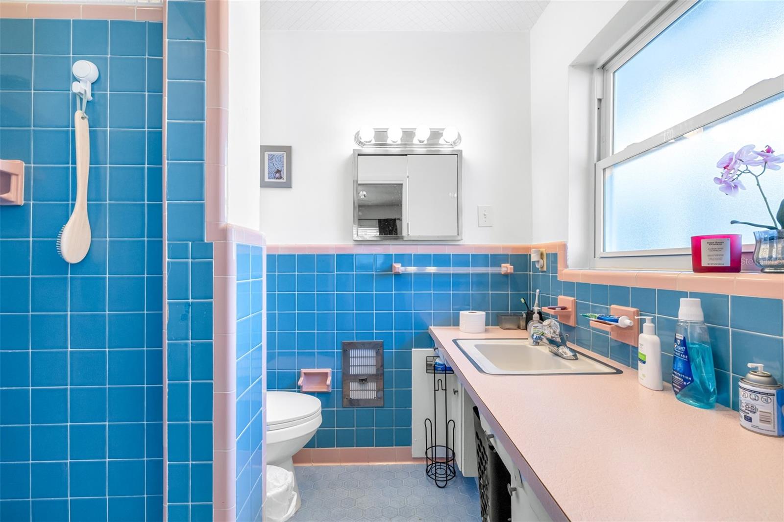 LESNICK PARK - Residential