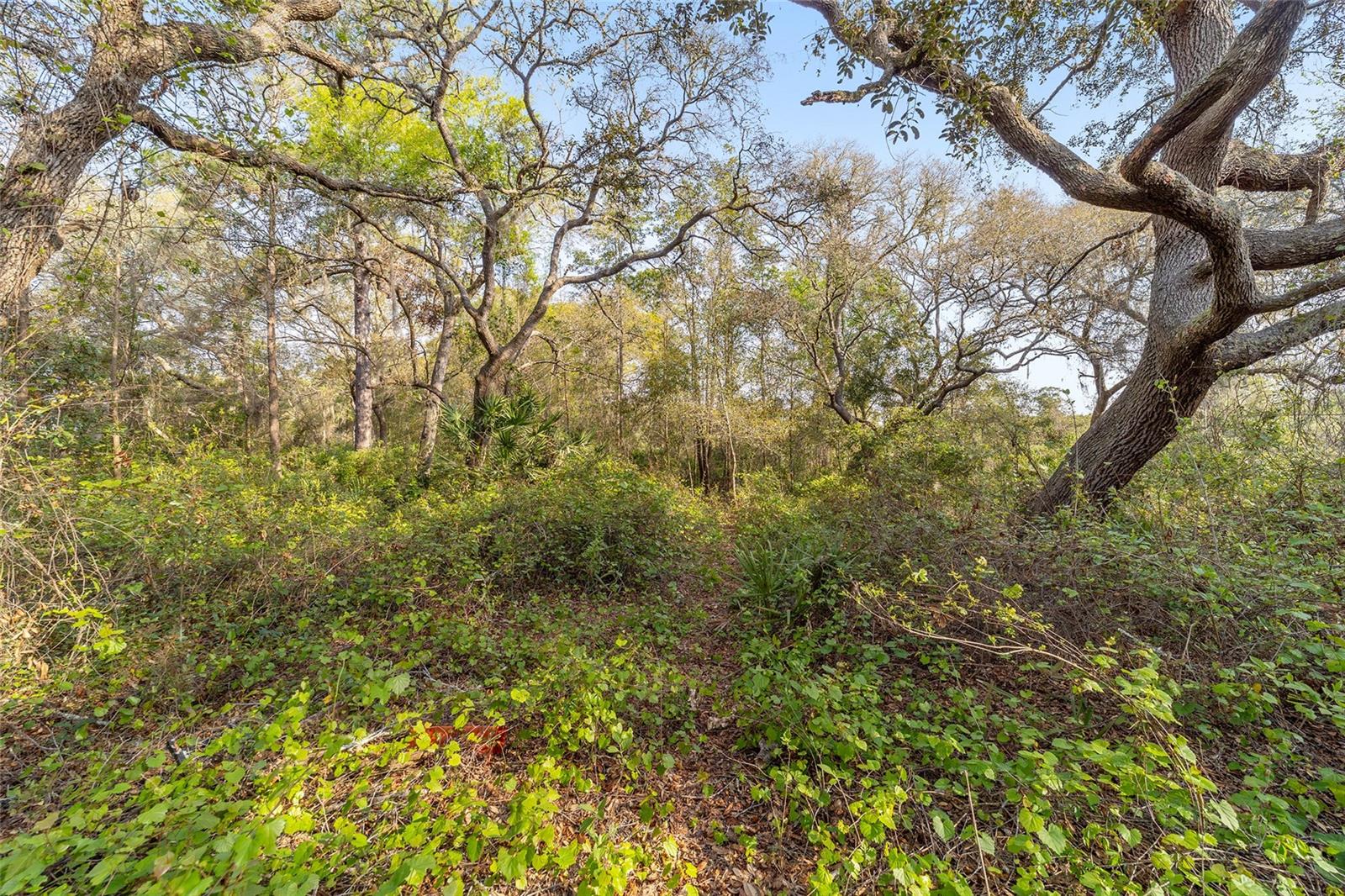 475 FISHER ROAD