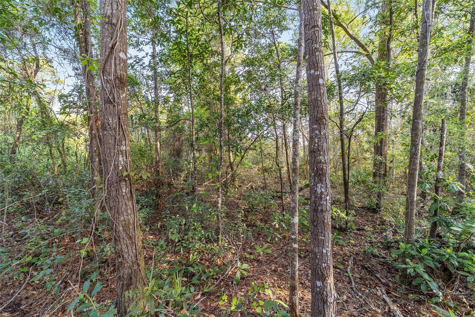 475 FISHER ROAD