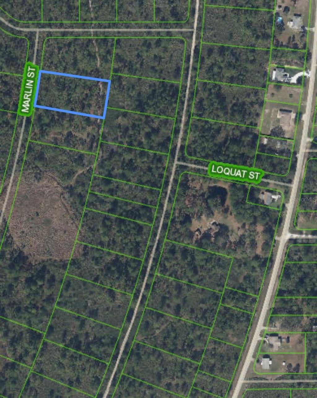 Photo of 745 Marlin Street, Lake Placid, FL 33852 (MLS # O6345697)