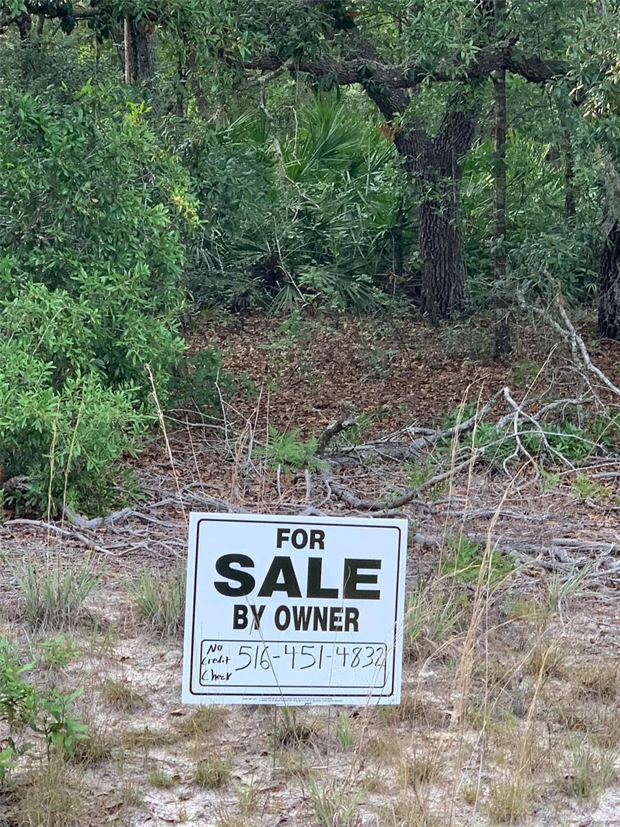 Take advantage of this fantastic opportunity to create your dream home on a beautiful 0.22-acre lot on Interlachen, FL! Set in a quiet, rural area, this generously sized property provides the perfect balance of seclusion and accessibility. Whether you envision a cozy getaway, a peaceful retreat, or just extra space to enjoy Florida’s scenic charm, this lot is full of potential. No HOA restrictions. Bring your vision and make it your own!