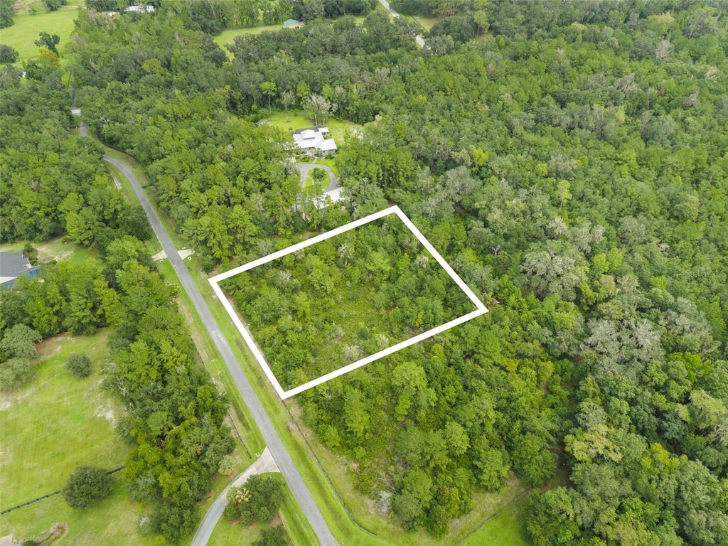 Photo of 12563 SW 17th Drive, Micanopy, FL 32667 (MLS # TB8550060)
