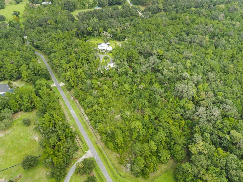 Photo of 12563 SW 17th Drive, Micanopy, FL 32667 (MLS # TB8550060)