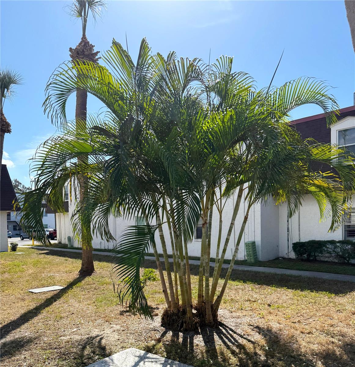 TUDOR CAY CONDO - Residential