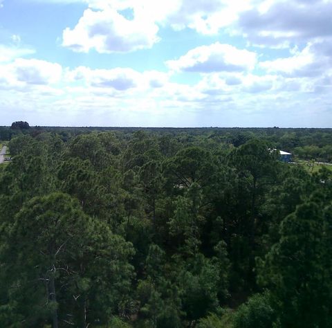 TBD UNDETERMINED CITRA FL 32113