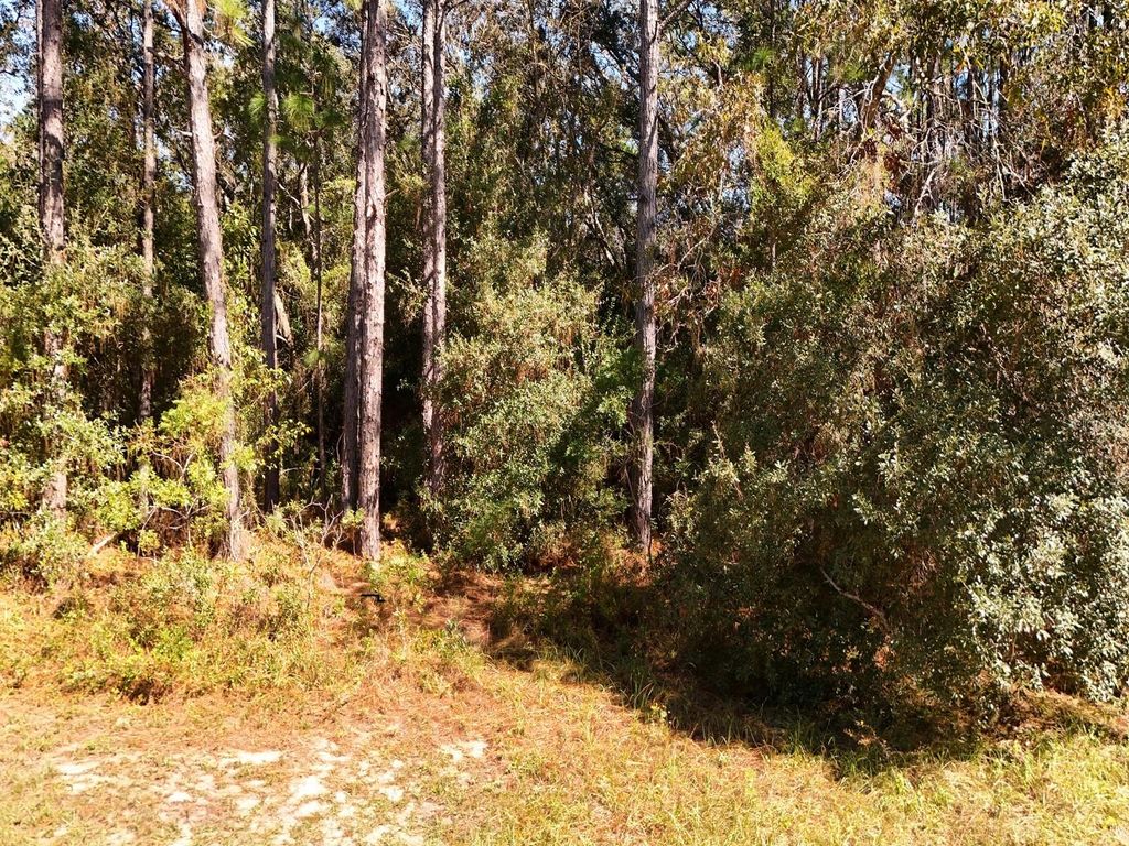 Photo of 1925 W Tall Oaks Drive, Beverly Hills, FL 34465 (MLS # OM712725)